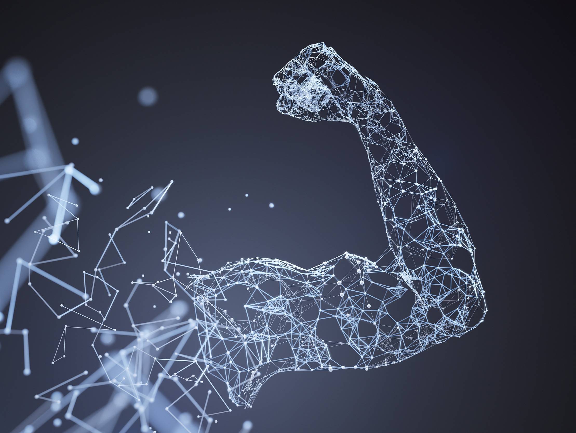 中美互聯網的“統治級捕食者生態”